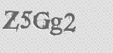 CAPTCHA code