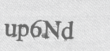 CAPTCHA code