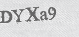 CAPTCHA code
