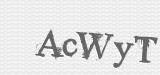 CAPTCHA code