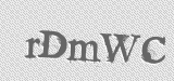 CAPTCHA code